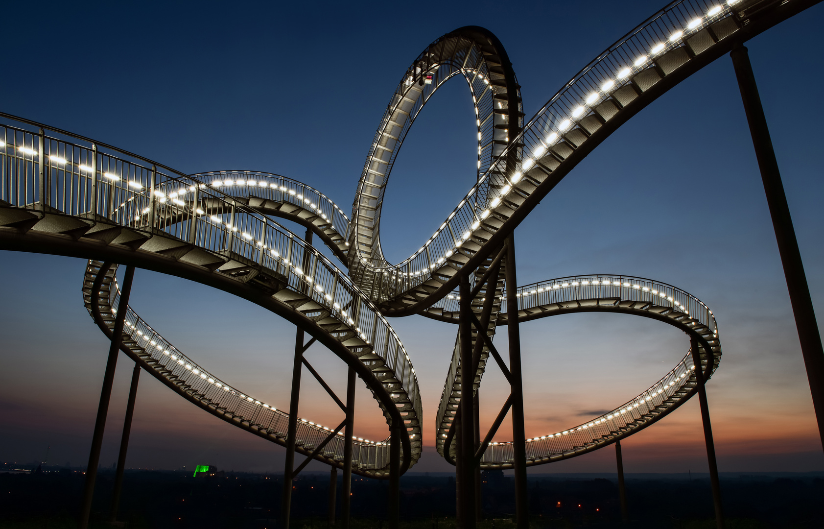 Tiger & Turtle 3