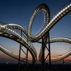 Tiger & Turtle 3