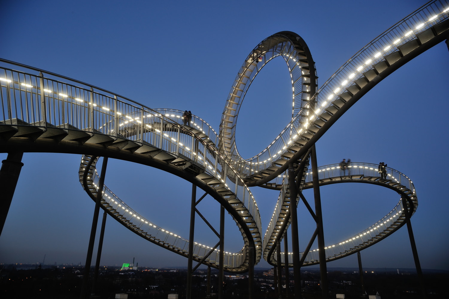 Tiger & Turtle 3