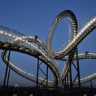 Tiger & Turtle 3