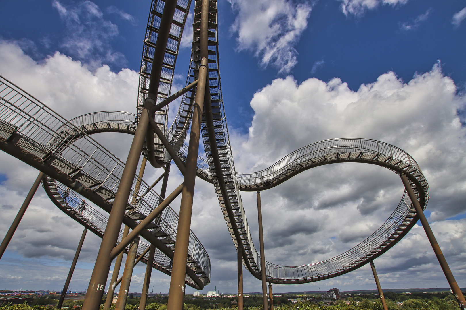 Tiger & Turtle 3