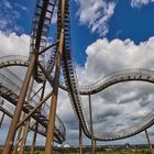 Tiger & Turtle 3