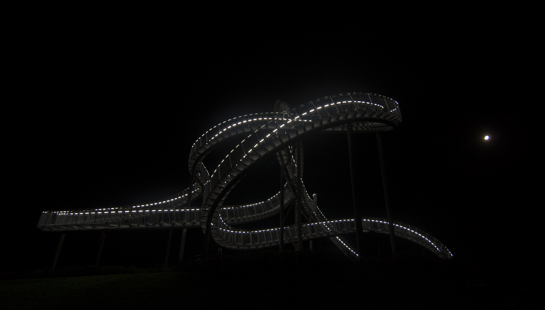 Tiger & Turtle