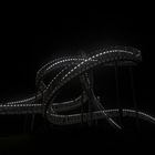 Tiger & Turtle