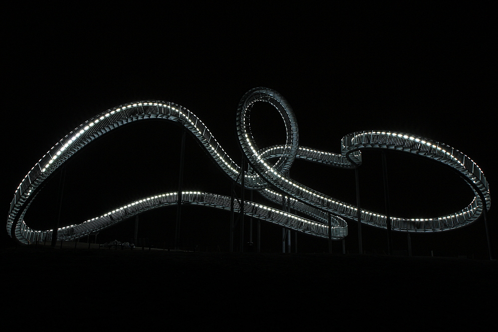 Tiger & Turtle