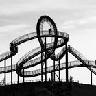 Tiger & Turtle