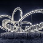 Tiger & Turtle