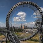 Tiger & Turtle