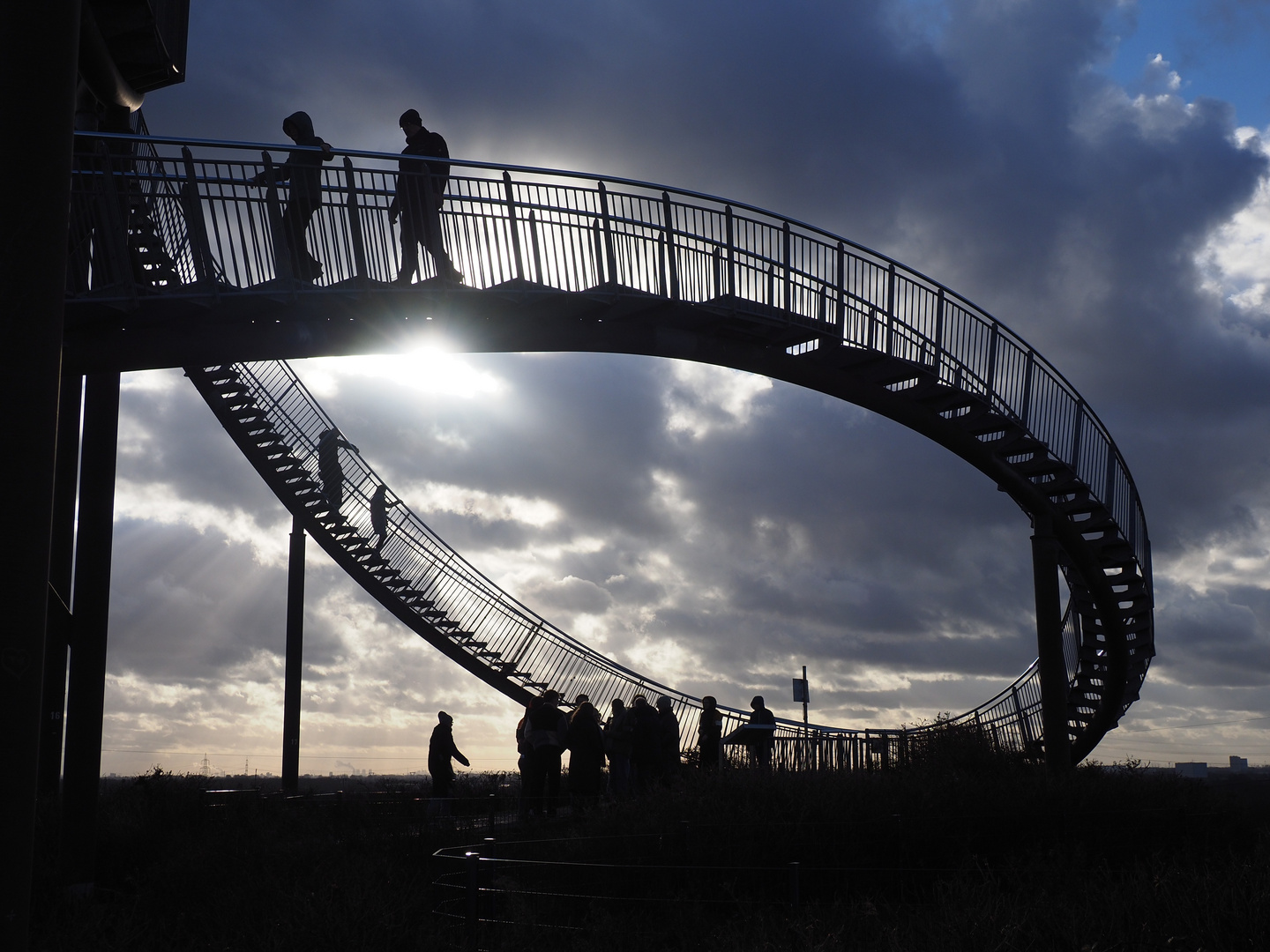 Tiger & Turtle