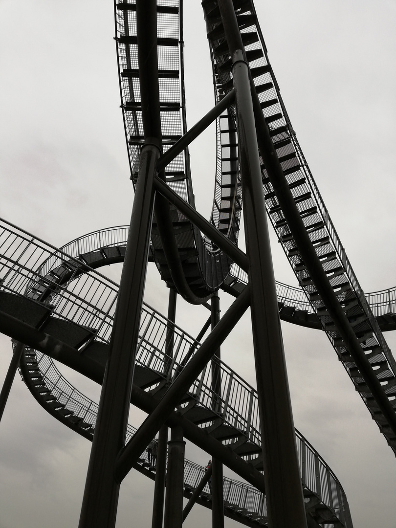 Tiger & Turtle