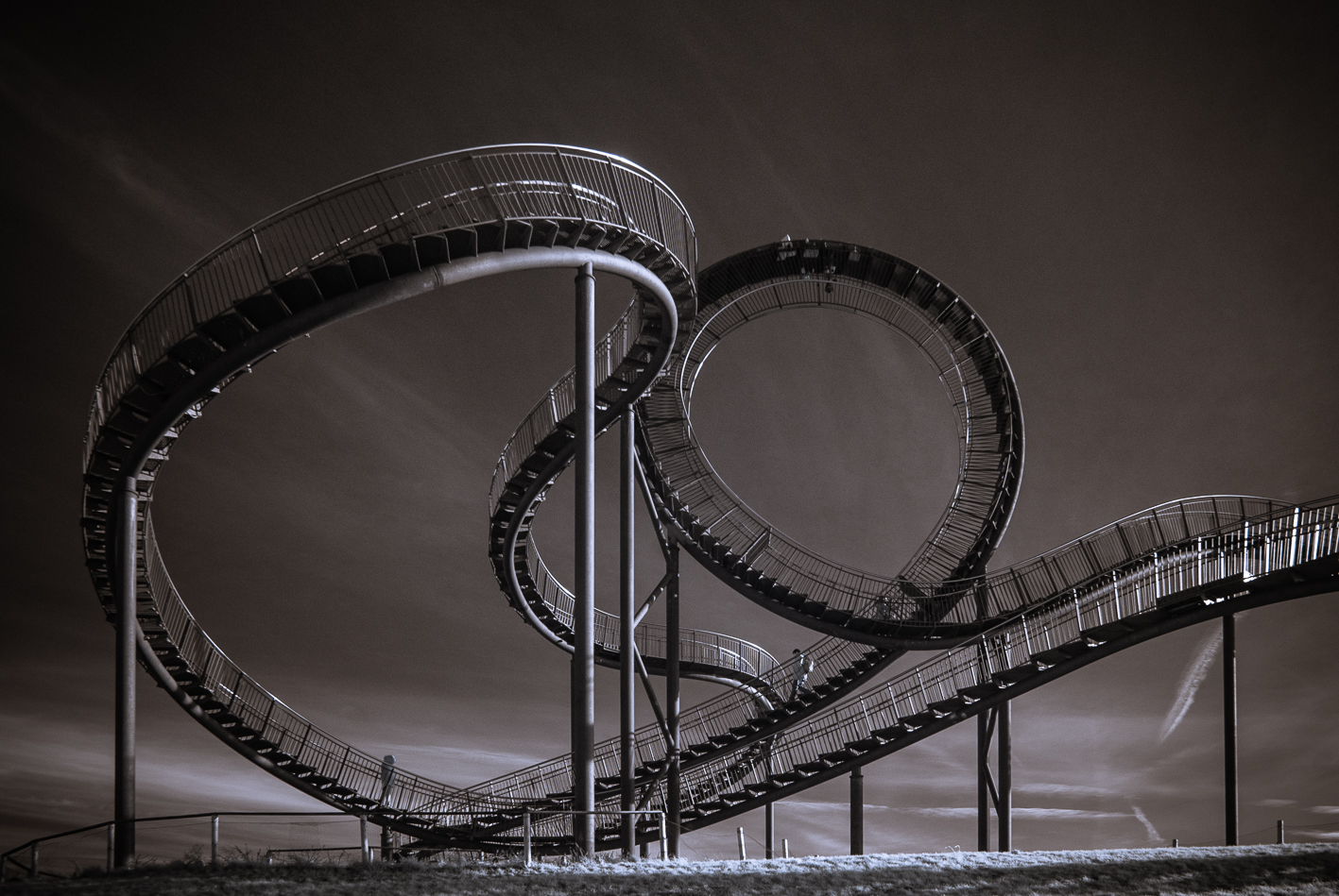 Tiger & Turtle