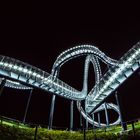 Tiger & Turtle