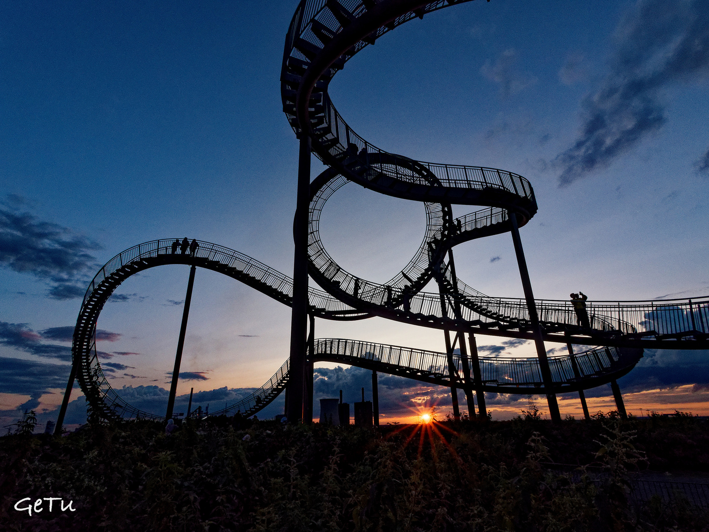 Tiger & Turtle