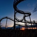 Tiger & Turtle