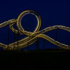 Tiger & Turtle