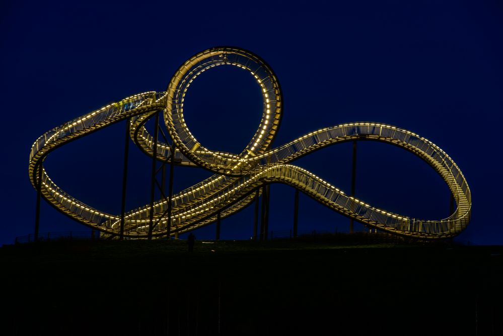 Tiger & Turtle