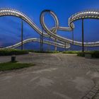 Tiger & Turtle