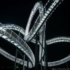 Tiger & Turtle 4