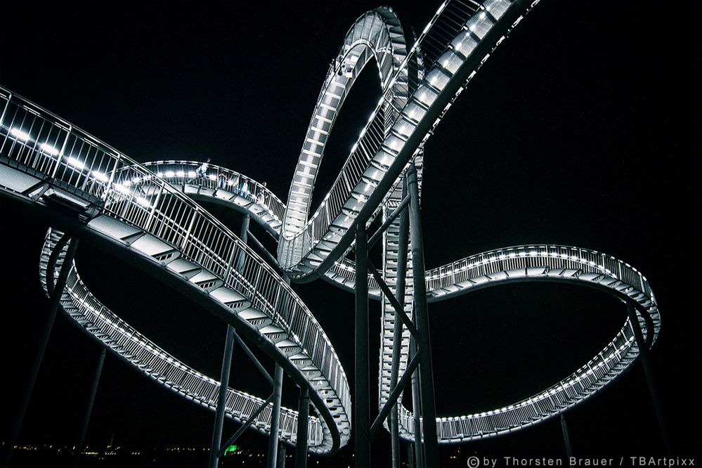 Tiger & Turtle 4