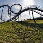 Tiger & Turtle 4