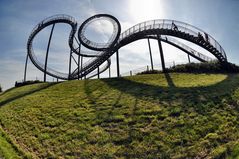 Tiger & Turtle 4