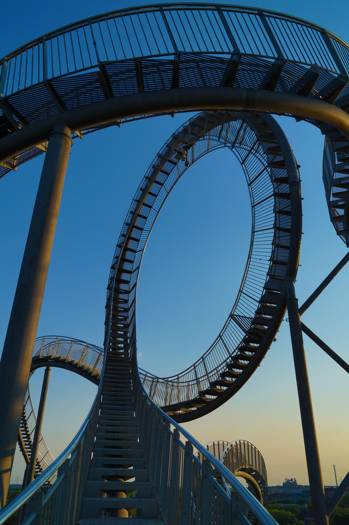 Tiger &Turtle 4