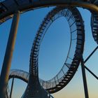 Tiger &Turtle 4