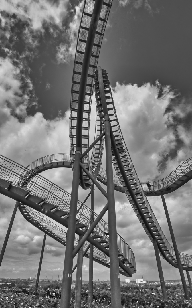 Tiger & Turtle 4