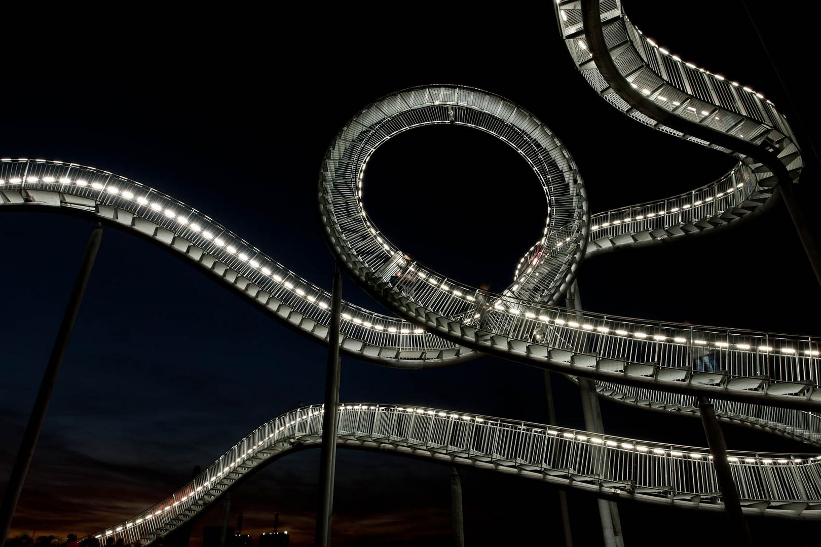 Tiger & Turtle 4