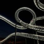 Tiger & Turtle 4