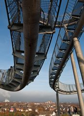 Tiger & Turtle 4