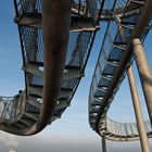 Tiger & Turtle 4