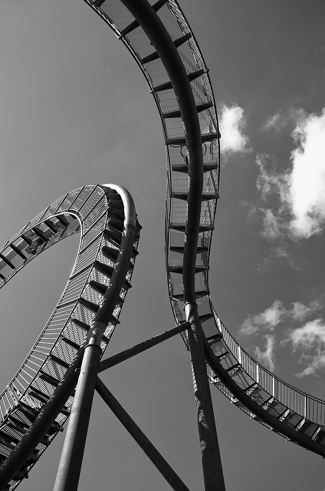 Tiger & Turtle 4