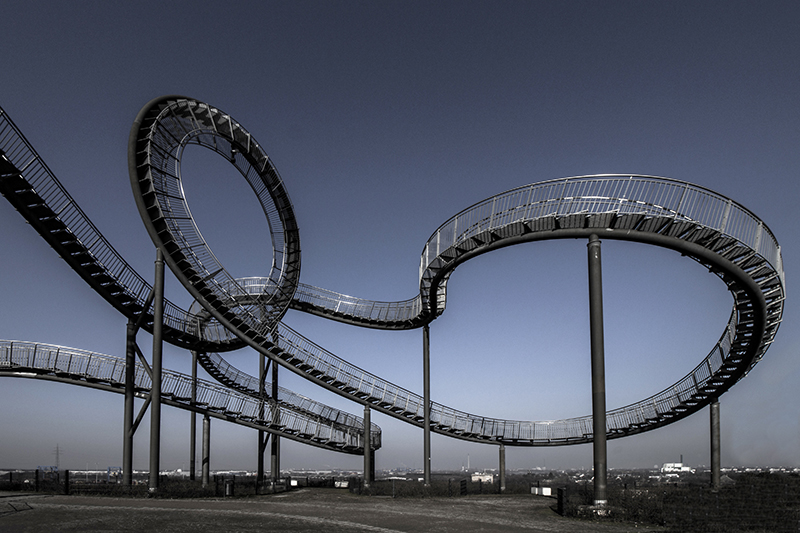 Tiger & Turtle 4