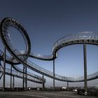 Tiger & Turtle 4