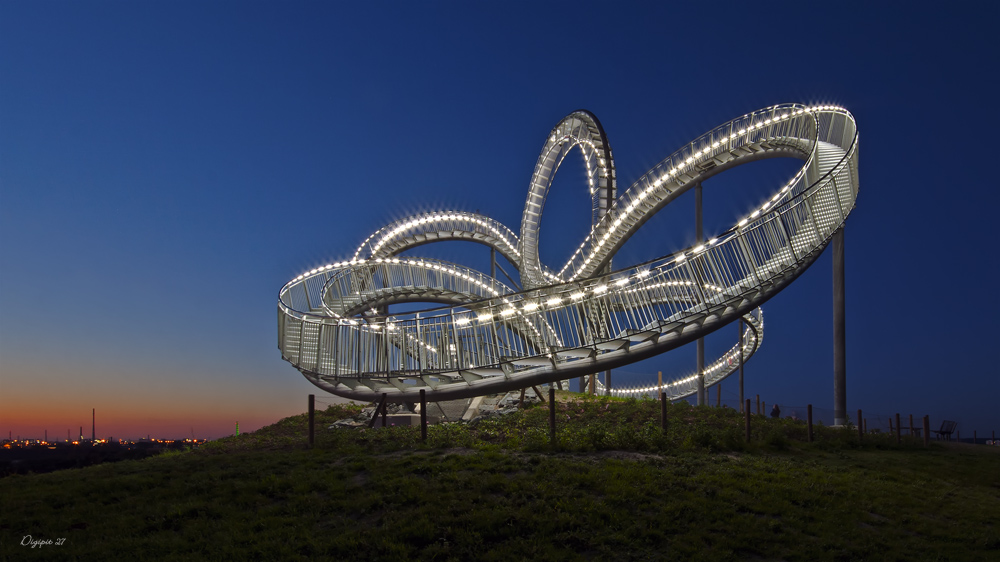 Tiger & Turtle 4