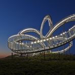 Tiger & Turtle 4