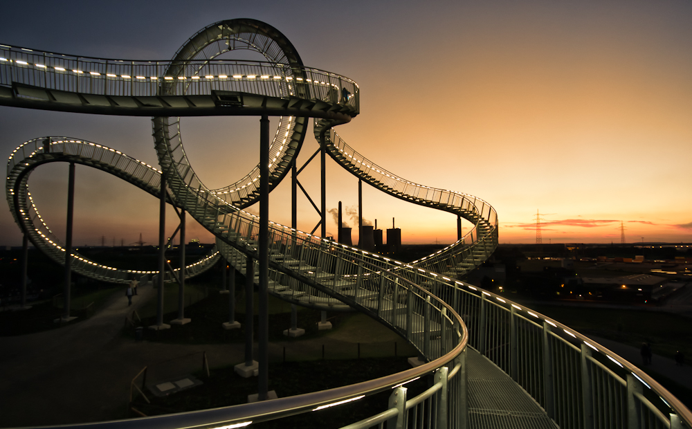 Tiger & Turtle