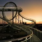 Tiger & Turtle