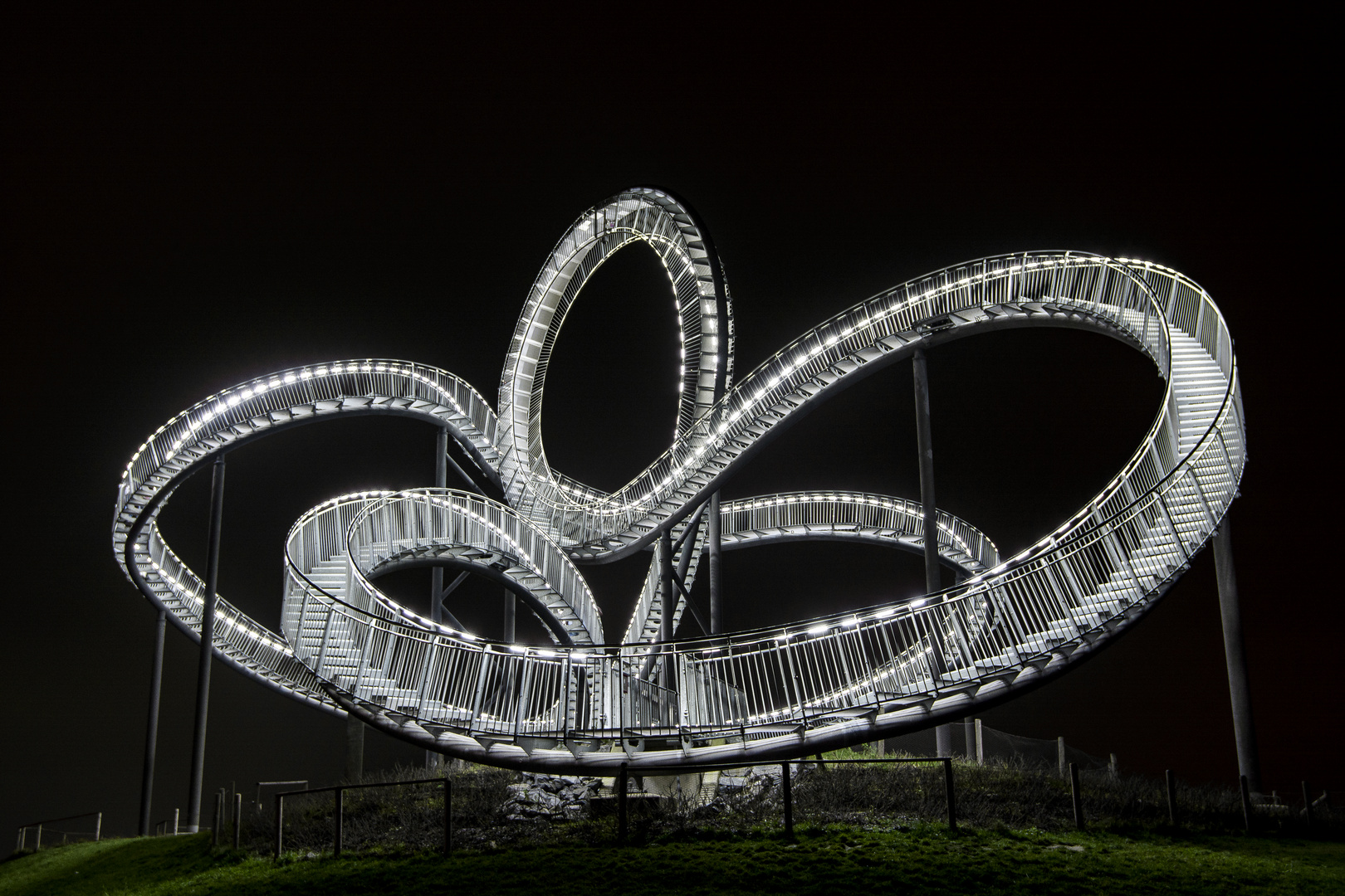 Tiger & Turtle