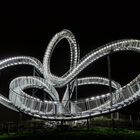 Tiger & Turtle