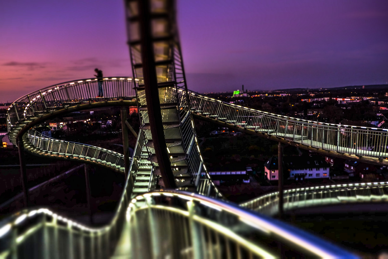 Tiger & Turtle