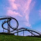 Tiger & Turtle