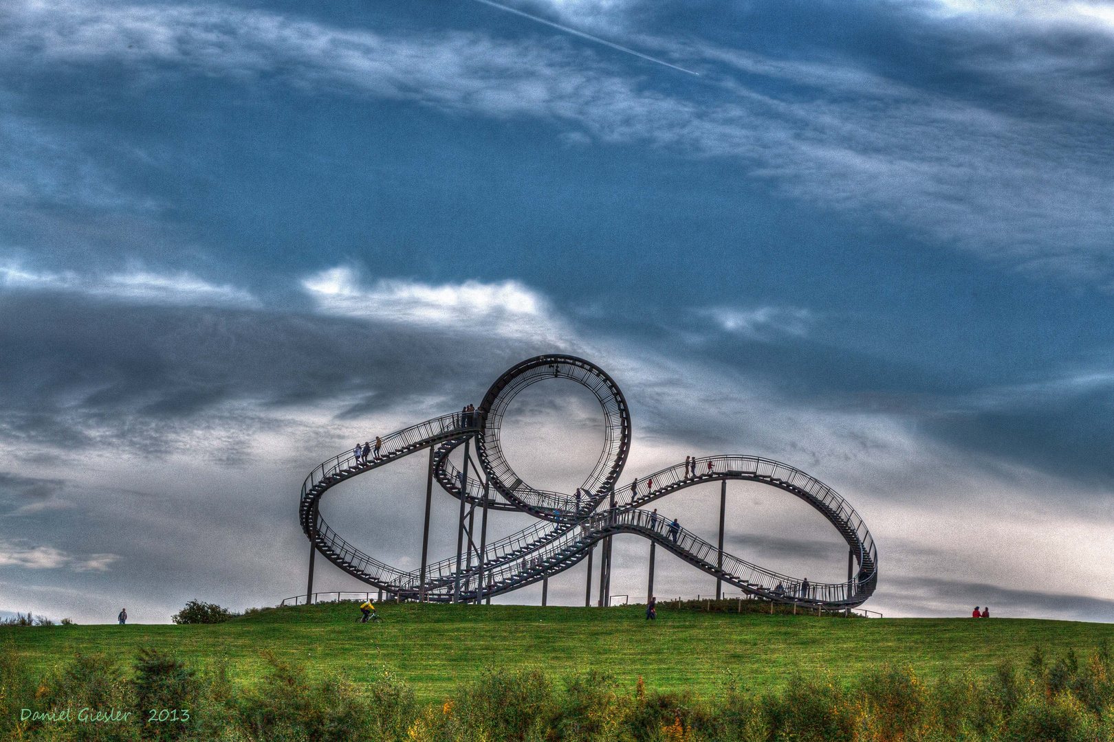 Tiger & Turtle