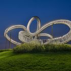 Tiger & Turtle