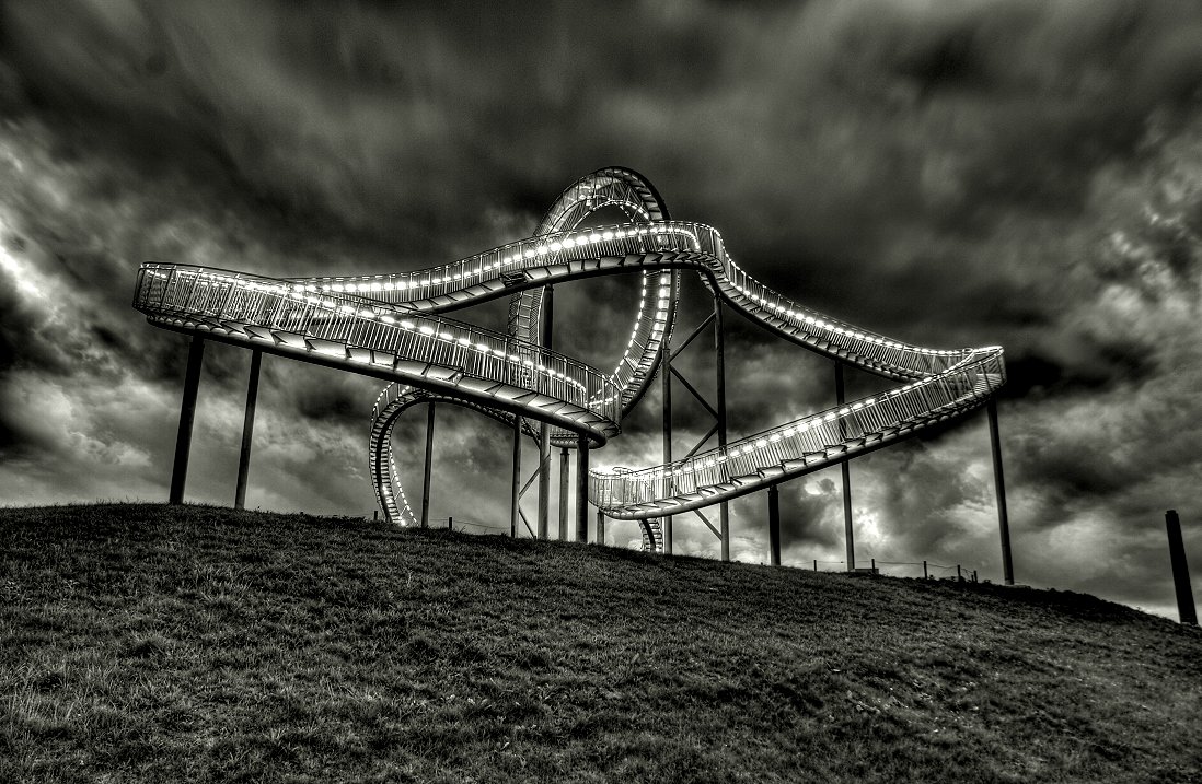 Tiger & Turtle