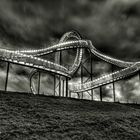 Tiger & Turtle