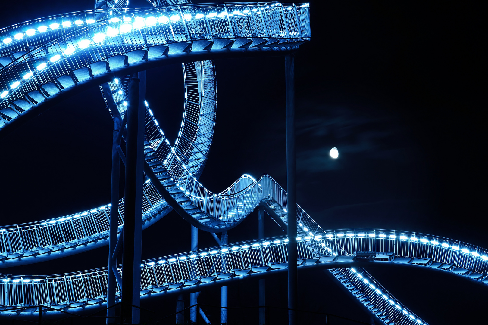 Tiger & Turtle