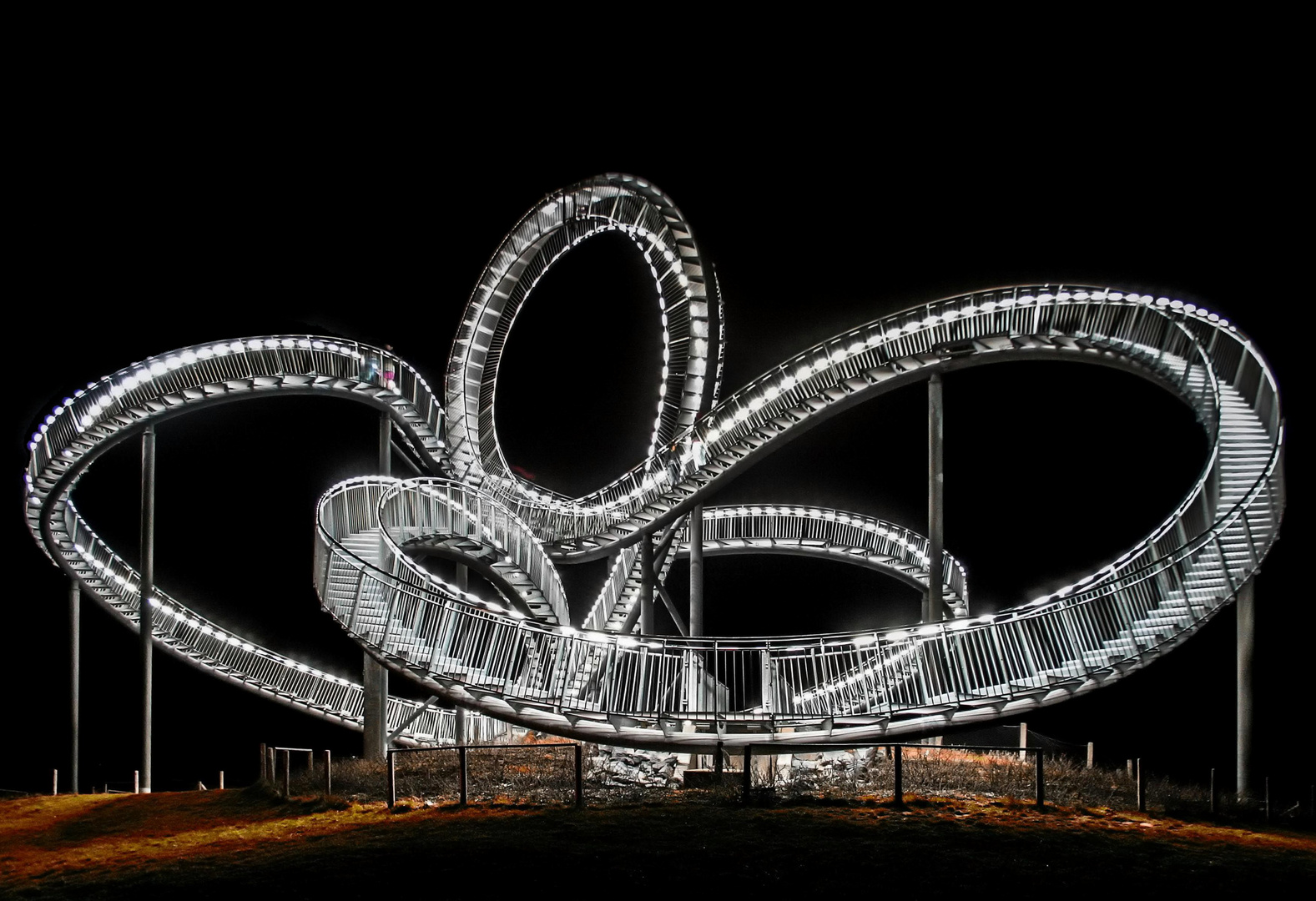 Tiger & Turtle