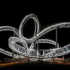 Tiger & Turtle